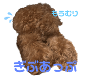 556740045