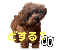 556740049
