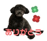 556742346