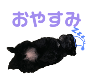 556742354