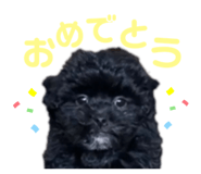 556742355