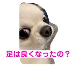 556745028