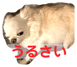 556745043