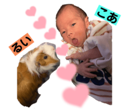 556745187