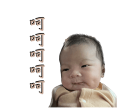 556747688