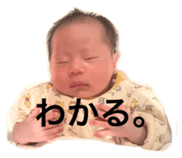 556747725