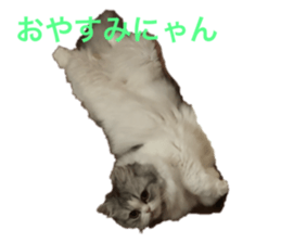 556749474