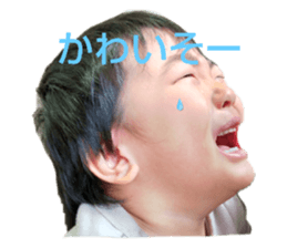556753054