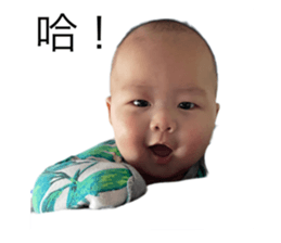 556762635