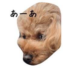 556769662
