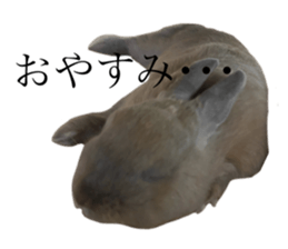 556769841