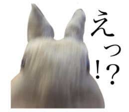 556769848
