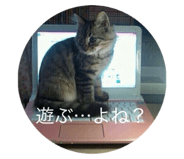 556773228