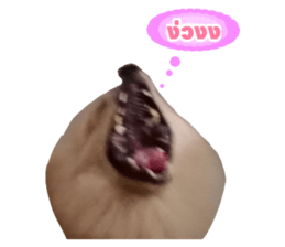 556789468