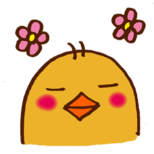 5567909