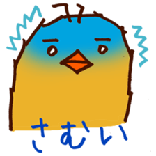 5567917