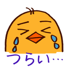 5567920