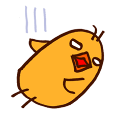 5567935