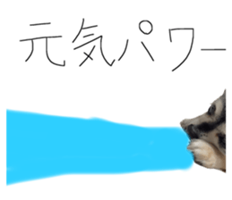 556793500