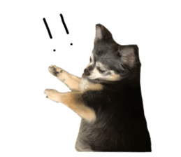 556793514