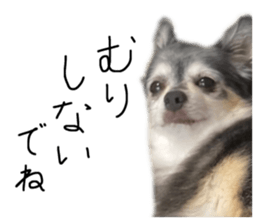 556793524