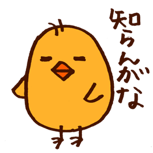 5567937