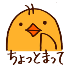 5567938