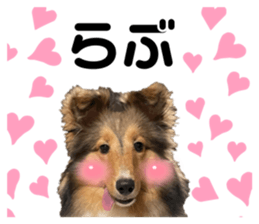556793998