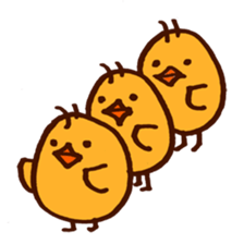 5567946