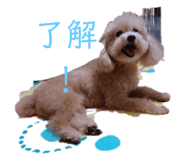 556796198