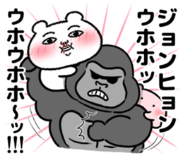 556797384