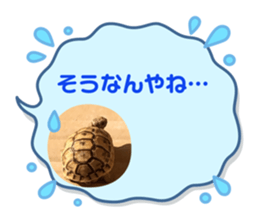 556801450