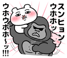 556805216