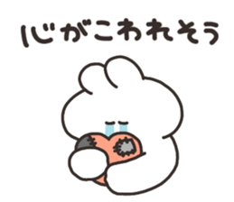 556805380
