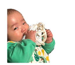 556816640