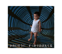 556827046