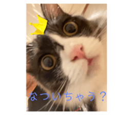 556828995