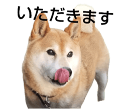 556829583
