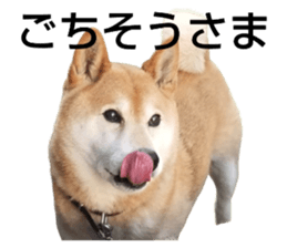 556829584