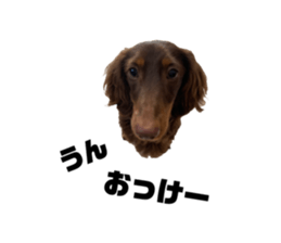 556831182