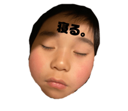 556831186