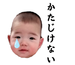 556833068