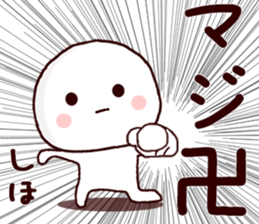 55683526