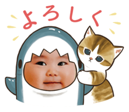 556837507