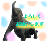 556838977