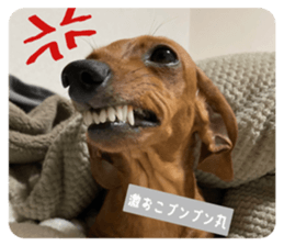 556840393