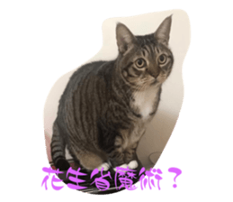 556841888