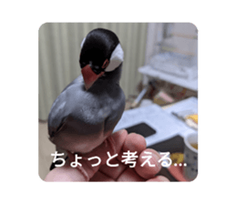 556843665