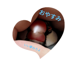 556843675