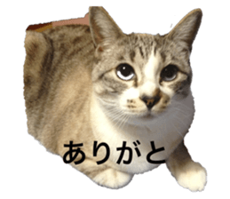 556844360